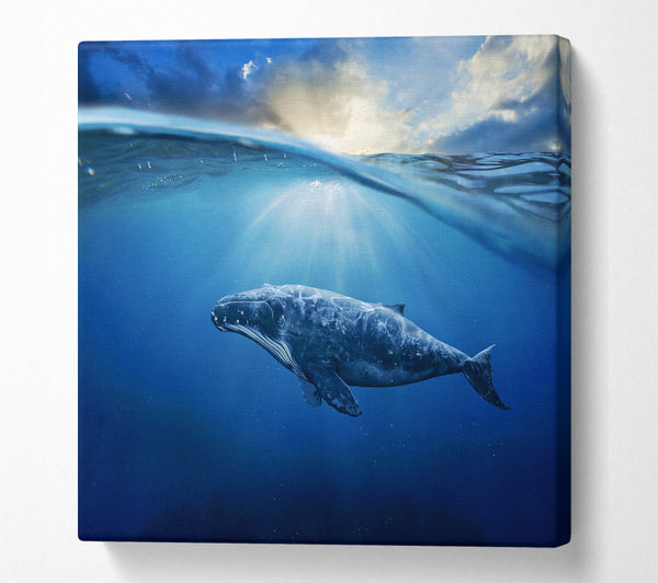 A Square Canvas Print Showing Ocean Whale Square Wall Art