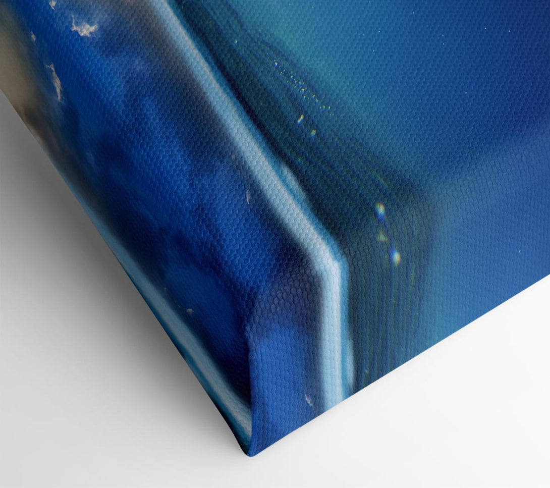  A Canvas Print of Ocean Whale Canvas Print