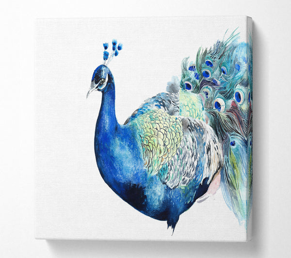 A Square Canvas Print Showing Peacock Blues Square Wall Art