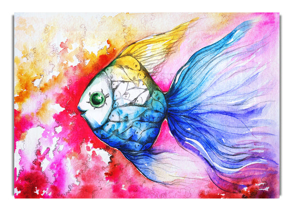 Mehrfarbiger Fisch