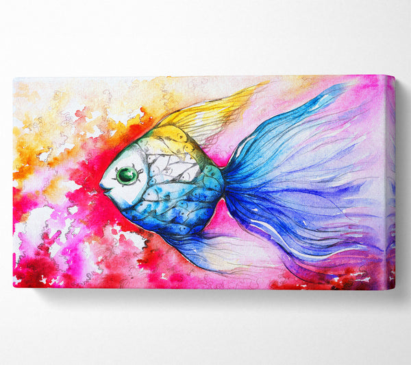 Mehrfarbiger Fisch