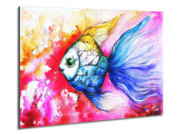 MultiColoured Fish Metal Print