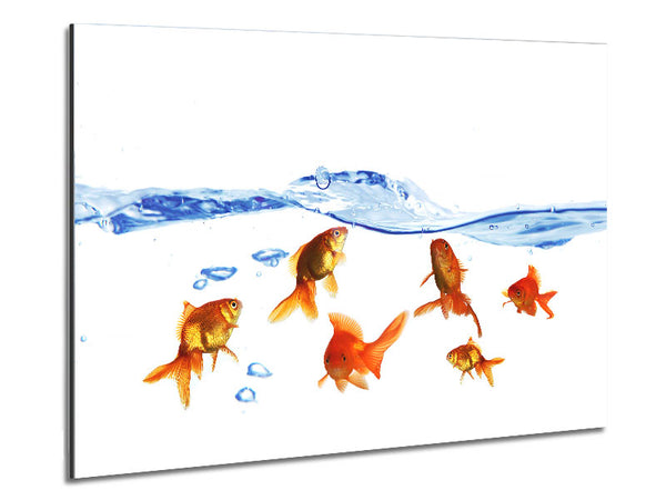 Goldfish Wave Metal Print