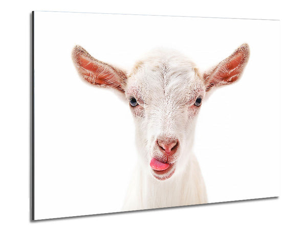 Goating Around Metal Print