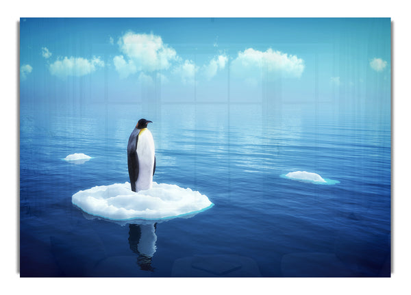 Pinguin-Drift
