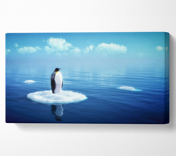 Pinguin-Drift