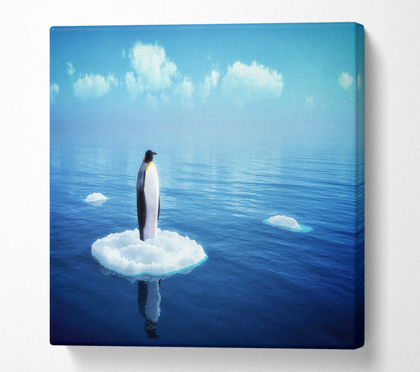 A Square Canvas Print Showing Penguin Drift Square Wall Art