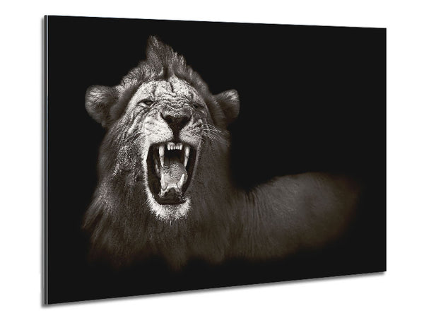 Lion Roar Metal Print