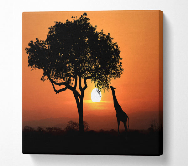 A Square Canvas Print Showing Giraffe Safari Sunset Square Wall Art