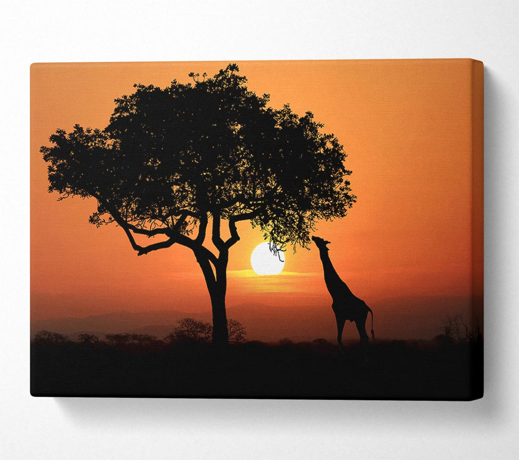 Picture of Giraffe Safari Sunset Canvas Print Wall Art