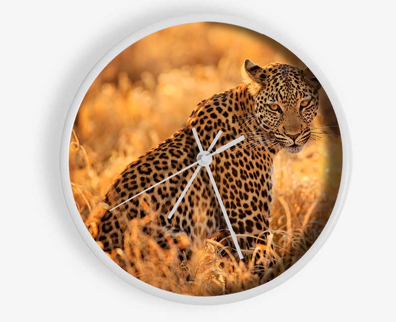 Leopard Sunset Clock - Wallart-Direct UK