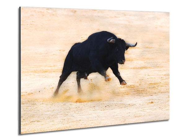 Bullenspiel