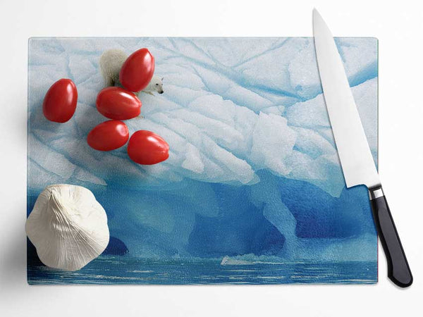 Polar Bear Ice Glass Chopping Board