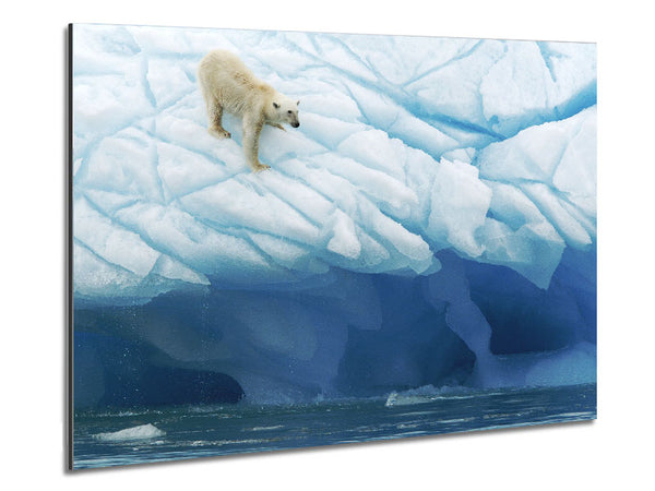 Polar Bear Ice Metal Print