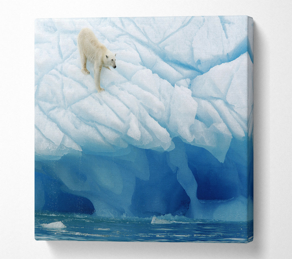 A Square Canvas Print Showing Polar Bear Ice Square Wall Art