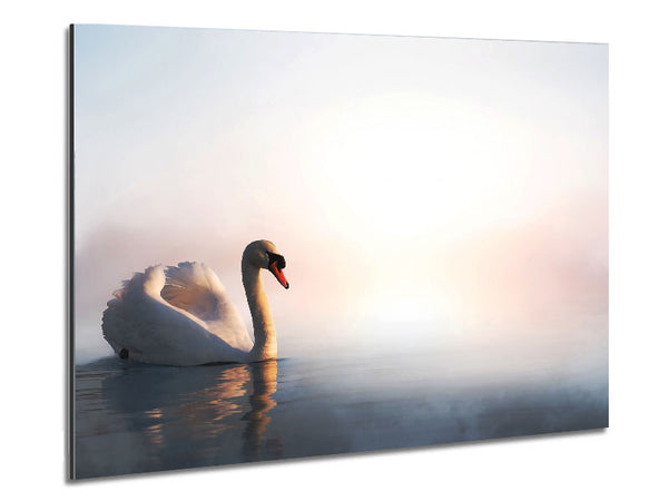 Misty Swan Metal Print
