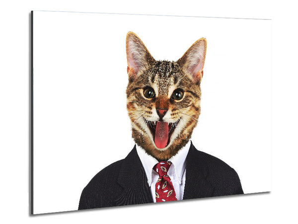 Business-Katze