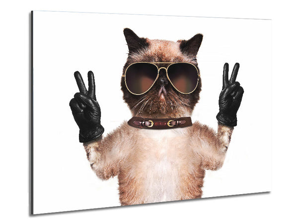 Cat Peace Metal Print