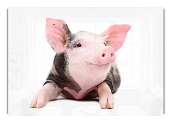 Glückliches Schwein
