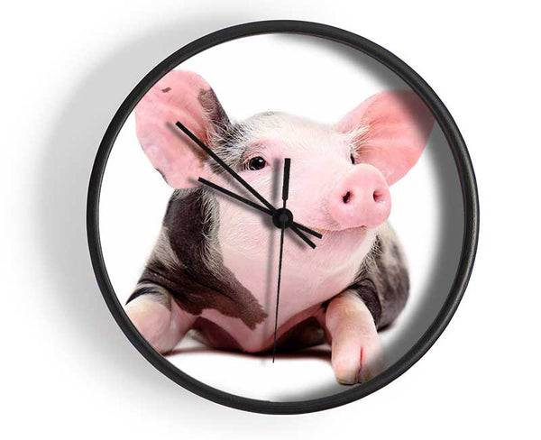 Happy Pig Clock - Wallart-Direct UK