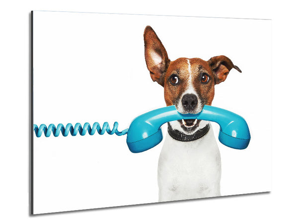 Terrier Dog Phone Call Metal Print