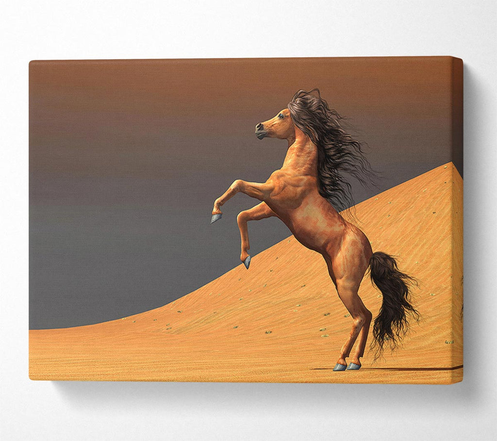 Picture of Stunning Horse Desert Canvas Print Wall Art