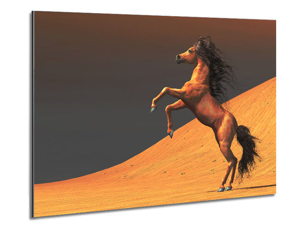 Stunning Horse Desert Metal Print