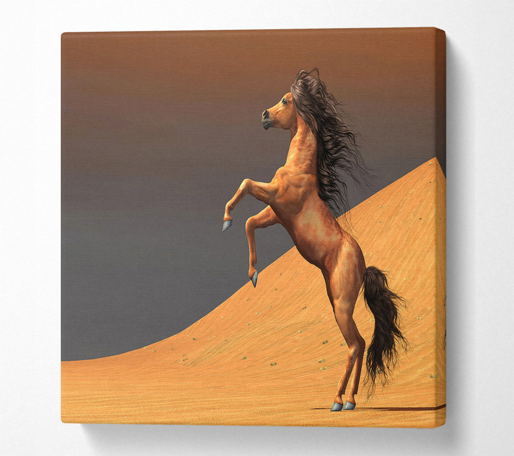 A Square Canvas Print Showing Stunning Horse Desert Square Wall Art