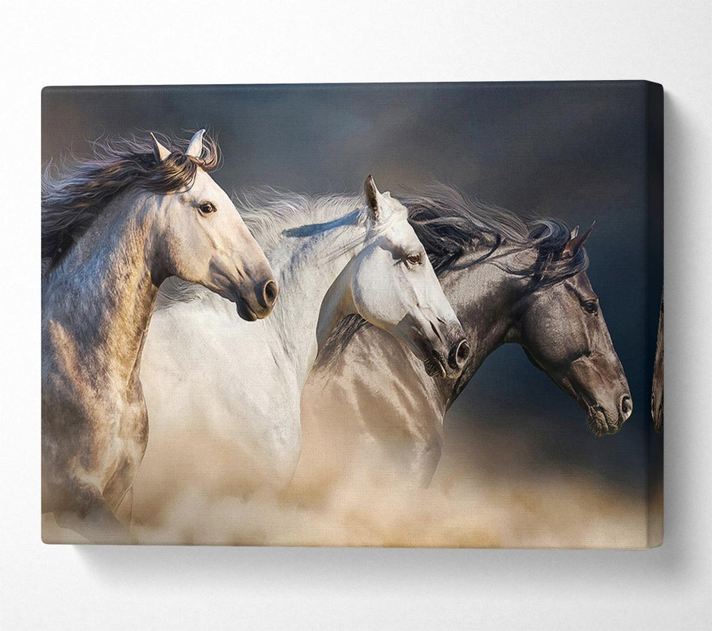 Picture of Wild Horse Trio Canvas Print Wall Art