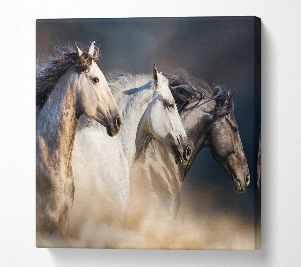 A Square Canvas Print Showing Wild Horse Trio Square Wall Art
