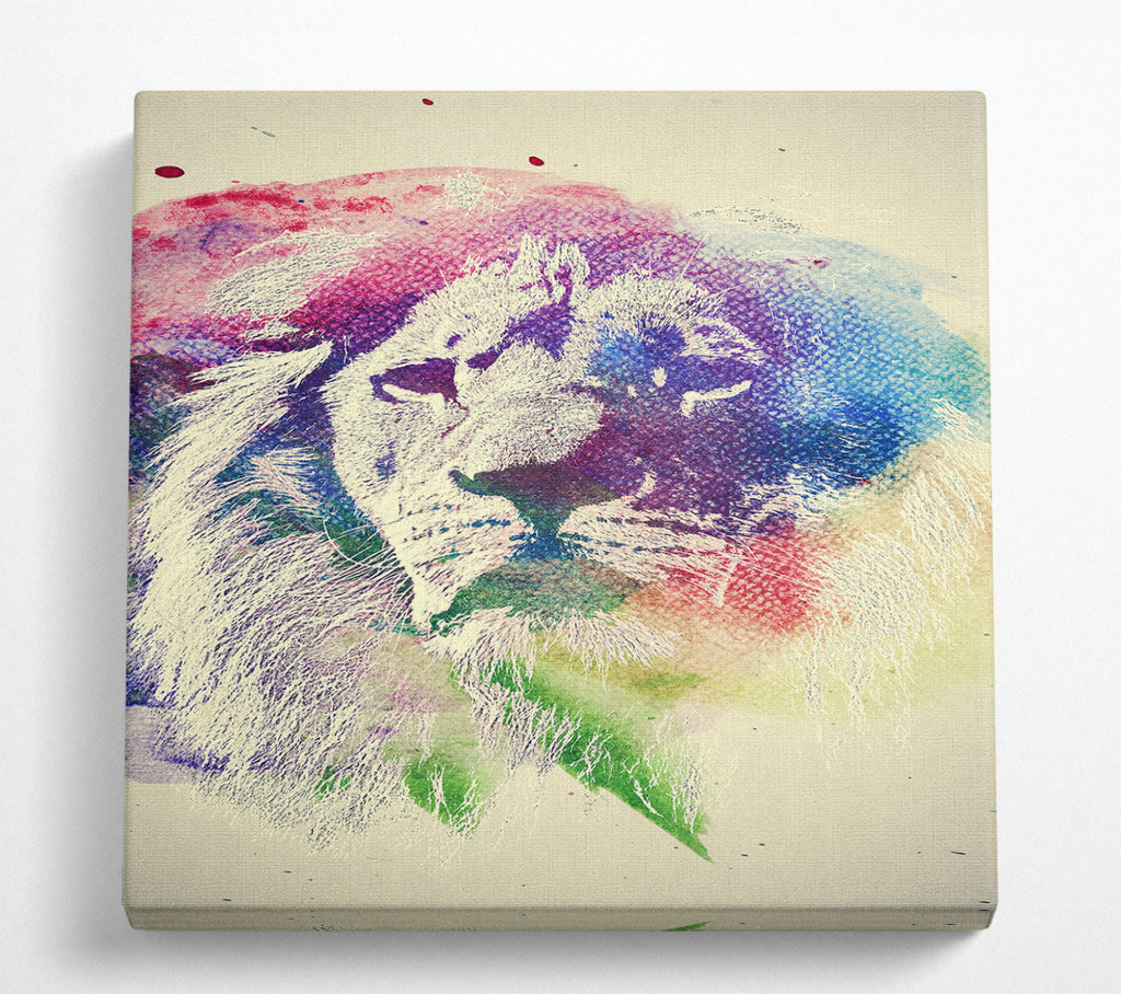 A Square Canvas Print Showing Rainbow Lion Square Wall Art
