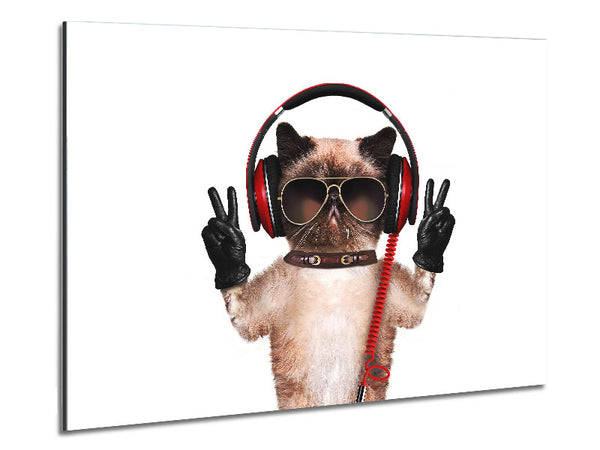 Musical Peace Cat Metal Print