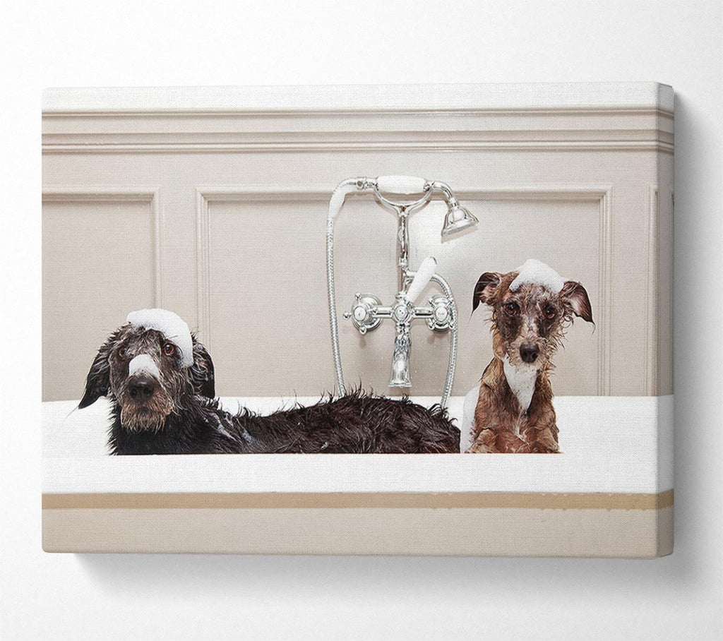 Picture of Bath Time Dogs Canvas Print Wall Art