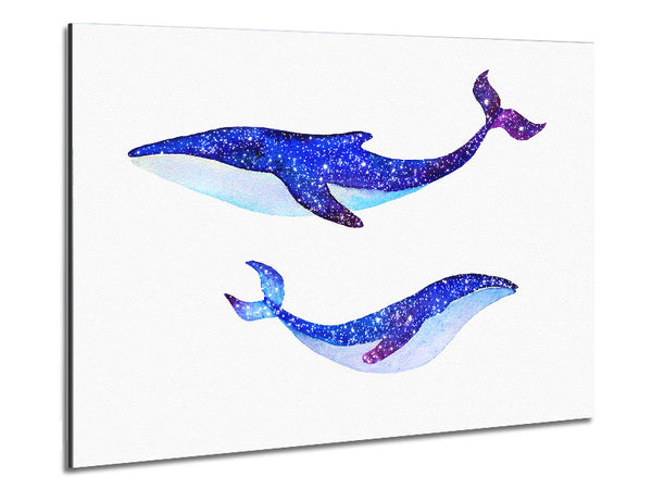 Twinkling Whales