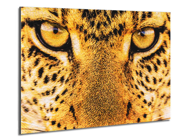 Leopard Face Metal Print