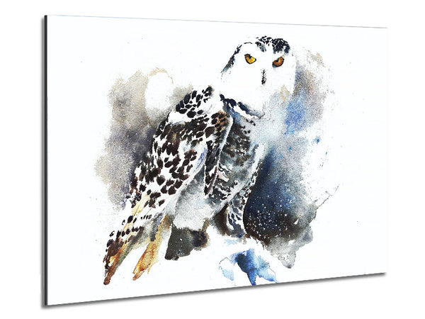 Night Owl Metal Print