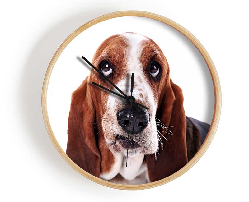 Basset Hound Look Clock - Wallart-Direct UK