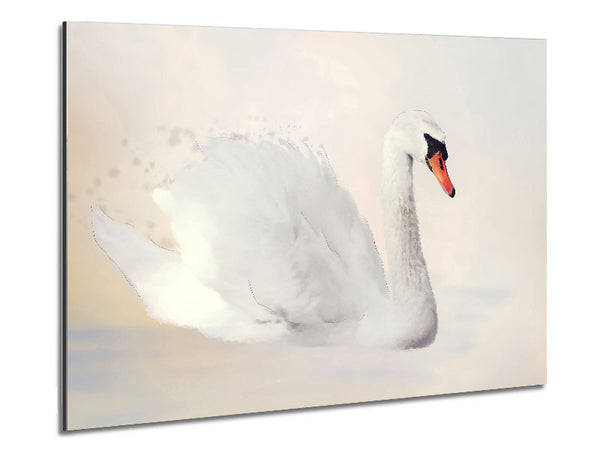 Stunning Swan Splash Metal Print