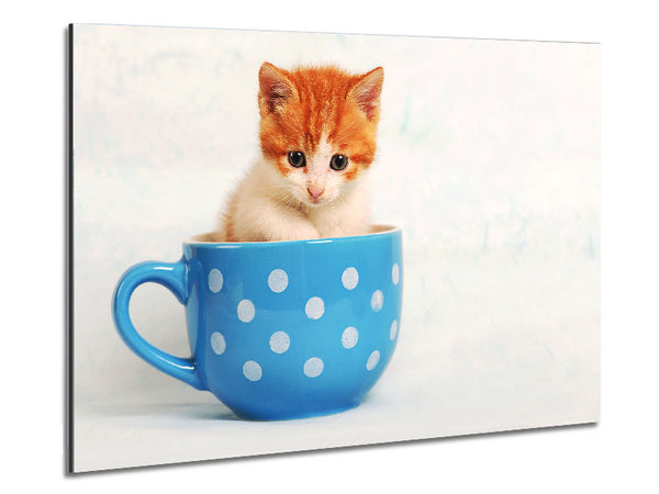 Tea Cup Kitten Cat Metal Print