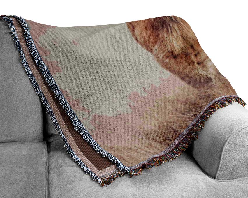 Lioness Teen Woven Blanket