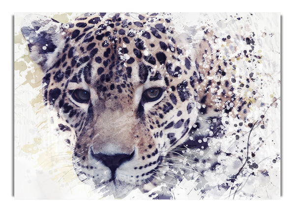 Leopardenspritzer