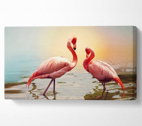 Flamingo-Sonnenuntergang