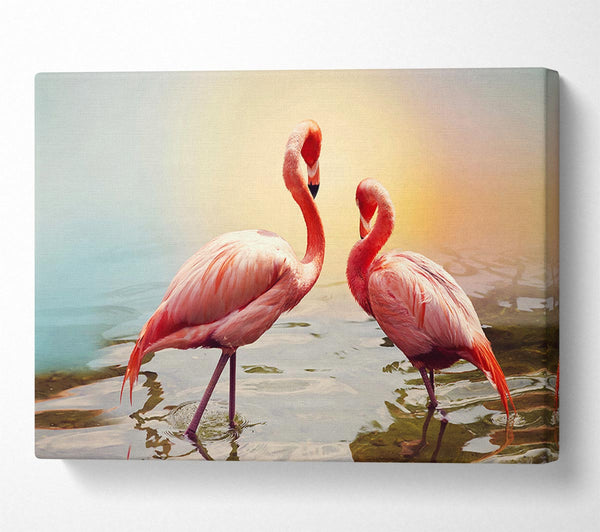 Picture of Flamingo Sunset Canvas Print Wall Art