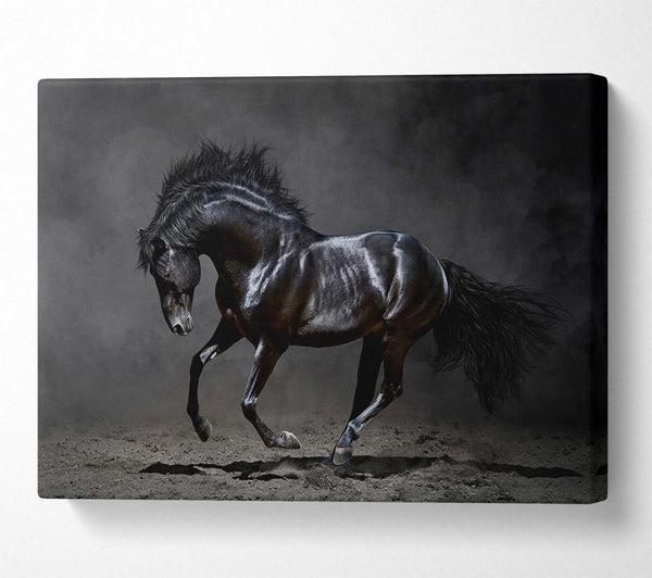  A Canvas Print of Black Beauty Horse Canvas Print