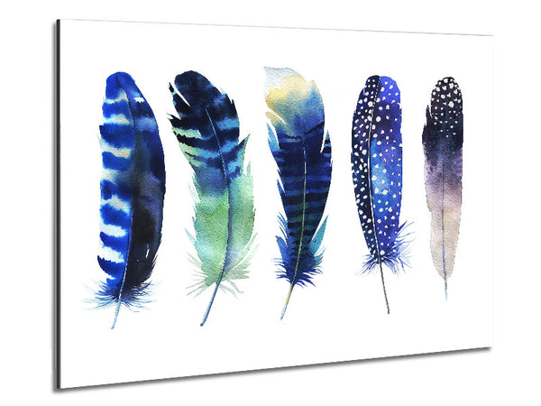Night Feathers Metal Print