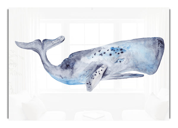 Whale