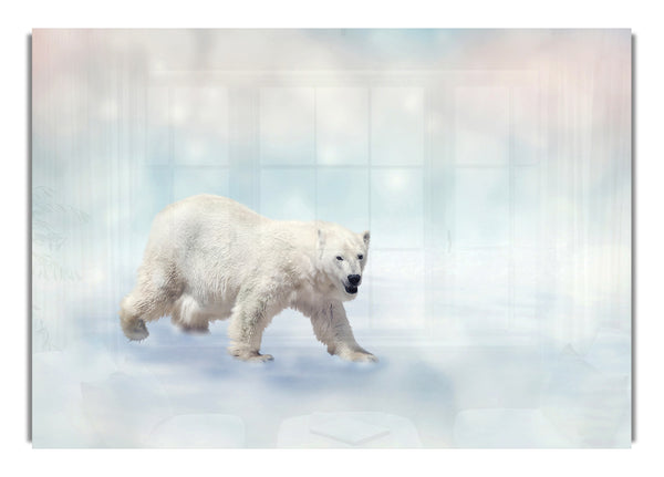 Eisbär funkeln