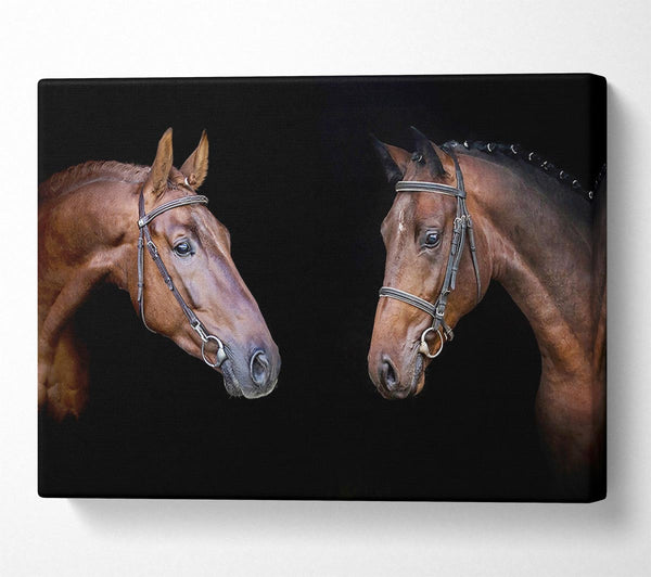  A Canvas Print of Horse Duo Canvas Print