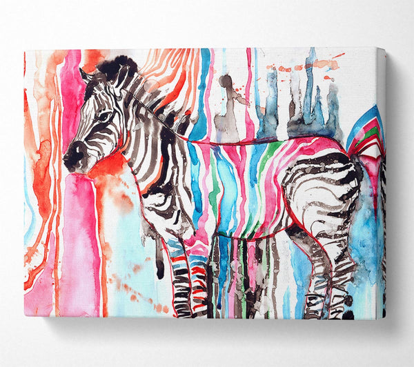 A Canvas Print of Funky Zebra Canvas Art