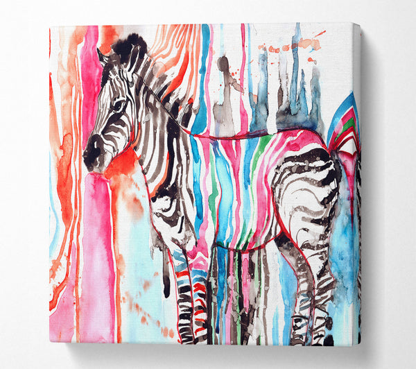A Square Canvas Print Showing Funky Zebra Square Wall Art